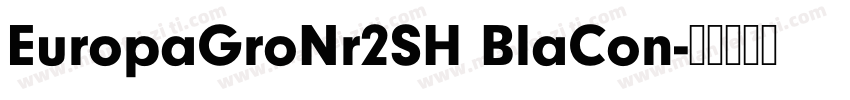 EuropaGroNr2SH BlaCon字体转换